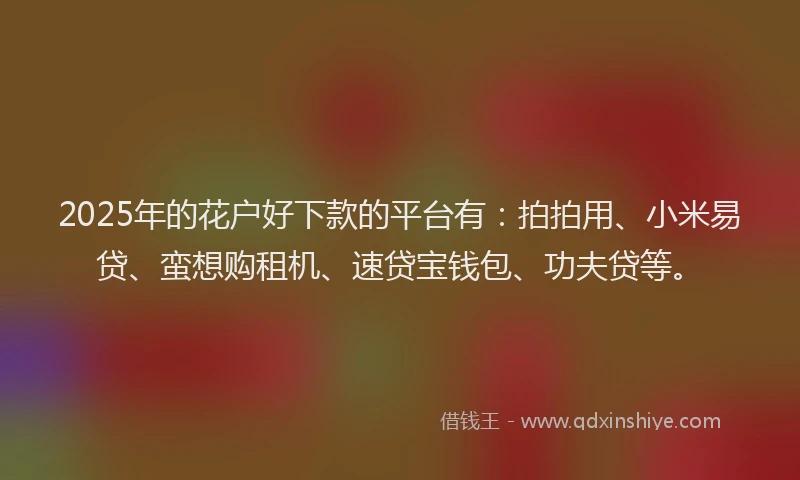 2025年的花户好下款的平台有：拍拍用、小米易贷、蛮想购租机、速贷宝钱包、功夫贷等。