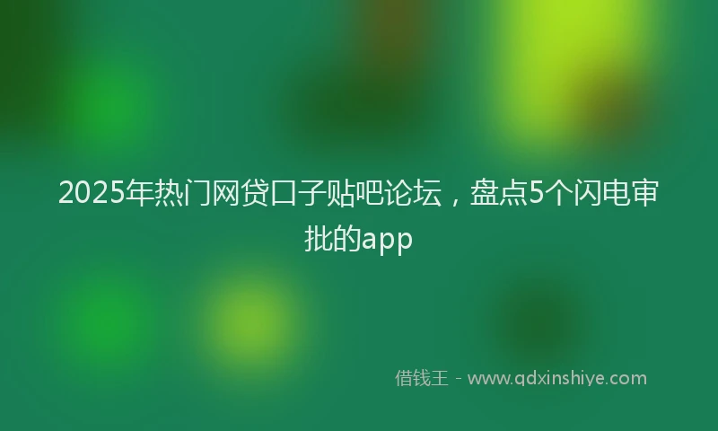 2025年热门网贷口子贴吧论坛，盘点5个闪电审批的app