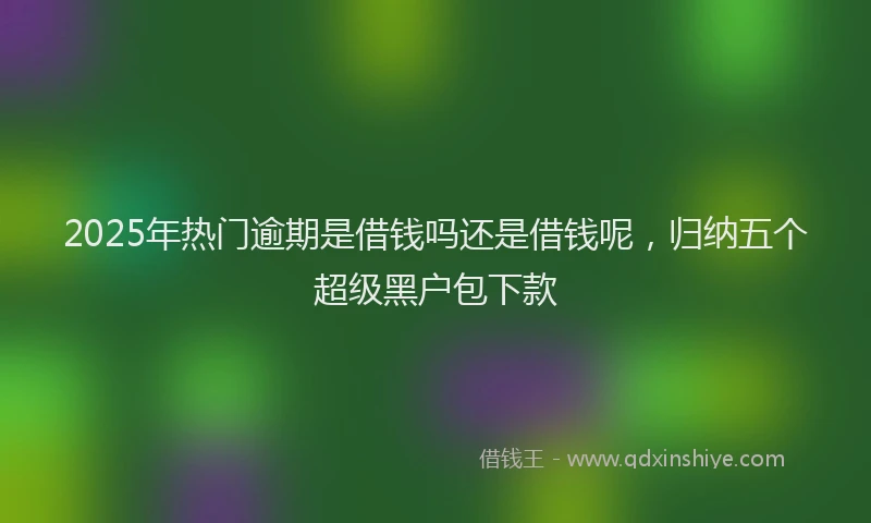 2025年热门逾期是借钱吗还是借钱呢，归纳五个超级黑户包下款
