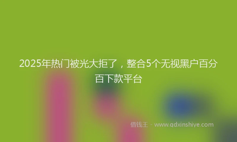 2025年热门被光大拒了，整合5个无视黑户百分百下款平台