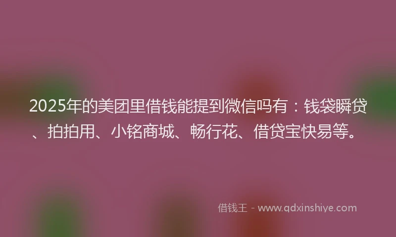 2025年的美团里借钱能提到微信吗有：钱袋瞬贷、拍拍用、小铭商城、畅行花、借贷宝快易等。