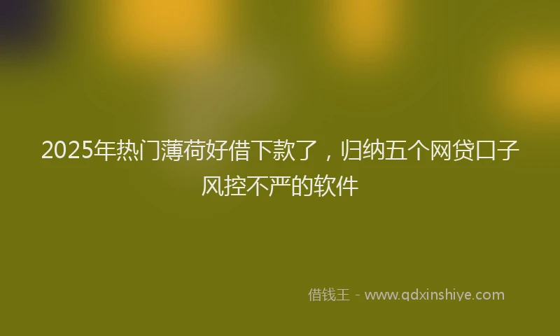 2025年热门薄荷好借下款了，归纳五个网贷口子风控不严的软件