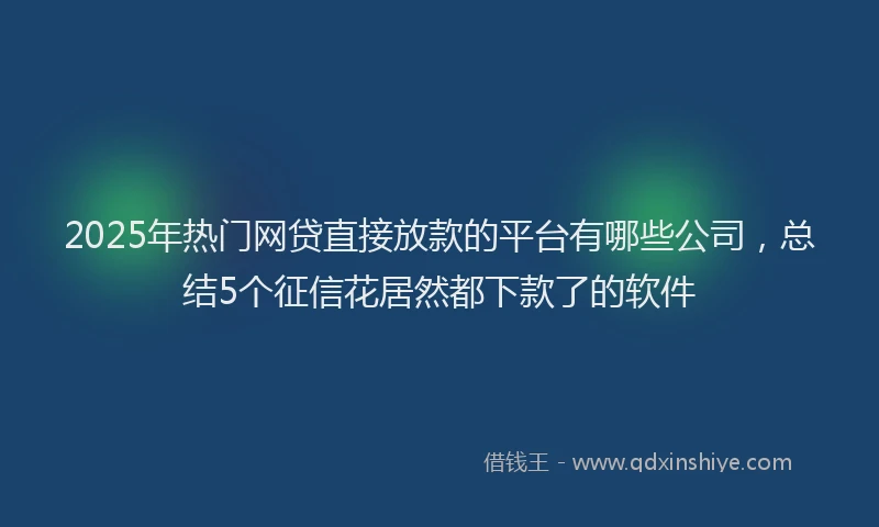2025年热门网贷直接放款的平台有哪些公司，总结5个征信花居然都下款了的软件