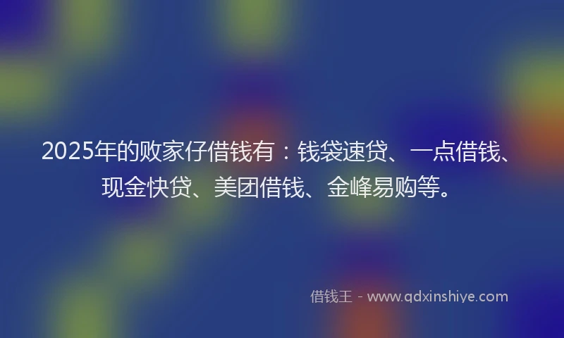 2025年的败家仔借钱有：钱袋速贷、一点借钱、现金快贷、美团借钱、金峰易购等。