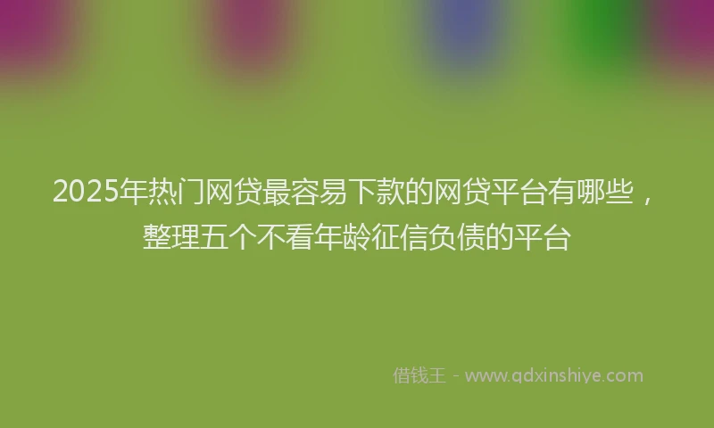 2025年热门网贷最容易下款的网贷平台有哪些，整理五个不看年龄征信负债的平台
