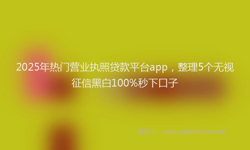 2025年热门营业执照贷款平台app，整理5个无视征信黑白100%秒下口子