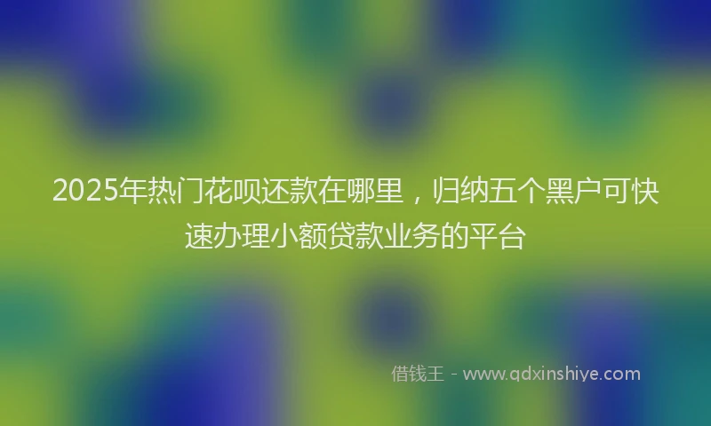 2025年热门花呗还款在哪里，归纳五个黑户可快速办理小额贷款业务的平台