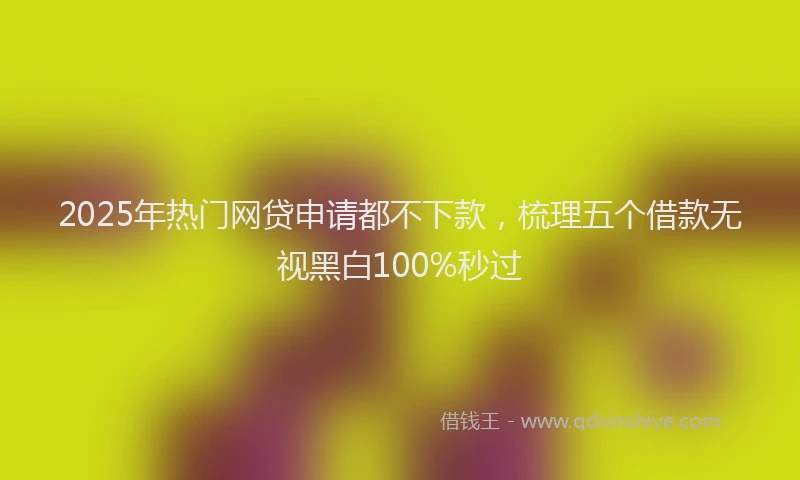 2025年热门网贷申请都不下款，梳理五个借款无视黑白100%秒过