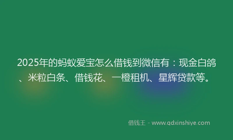 2025年的蚂蚁爱宝怎么借钱到微信有：现金白鸽、米粒白条、借钱花、一橙租机、星辉贷款等。