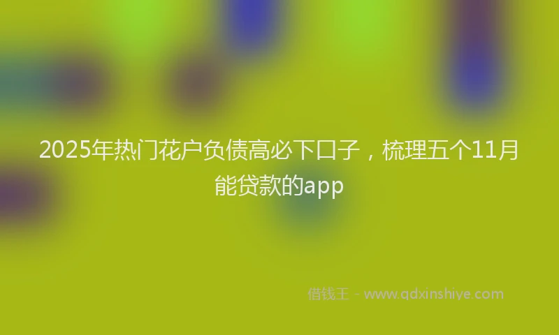 2025年热门花户负债高必下口子，梳理五个11月能贷款的app