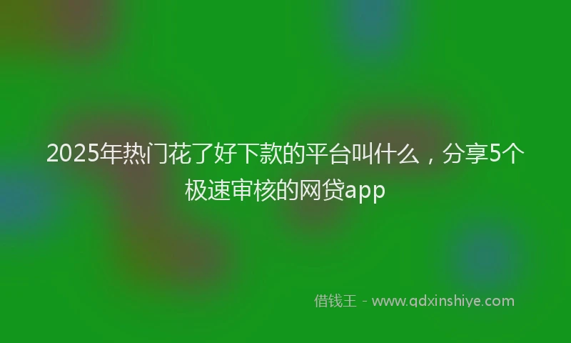 2025年热门花了好下款的平台叫什么，分享5个极速审核的网贷app