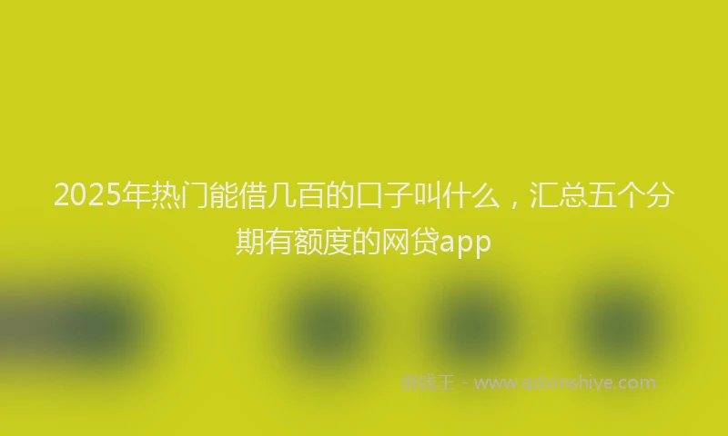 2025年热门能借几百的口子叫什么，汇总五个分期有额度的网贷app