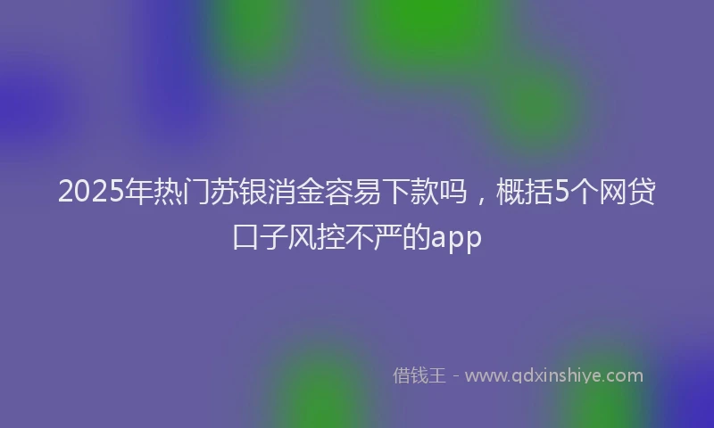 2025年热门苏银消金容易下款吗，概括5个网贷口子风控不严的app