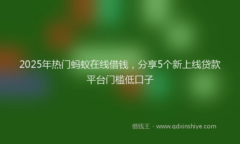 2025年热门蚂蚁在线借钱，分享5个新上线贷款平台门槛低口子