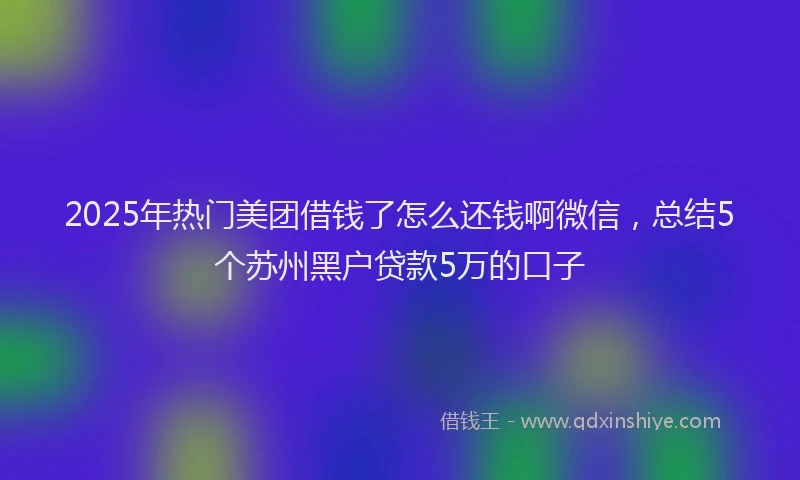 2025年热门美团借钱了怎么还钱啊微信，总结5个苏州黑户贷款5万的口子