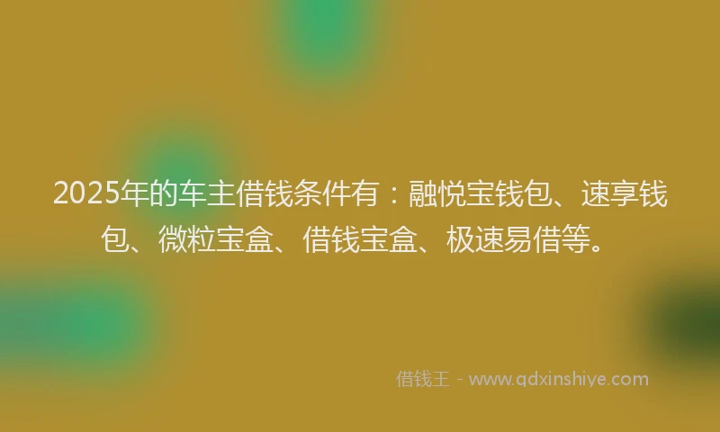 2025年的车主借钱条件有：融悦宝钱包、速享钱包、微粒宝盒、借钱宝盒、极速易借等。