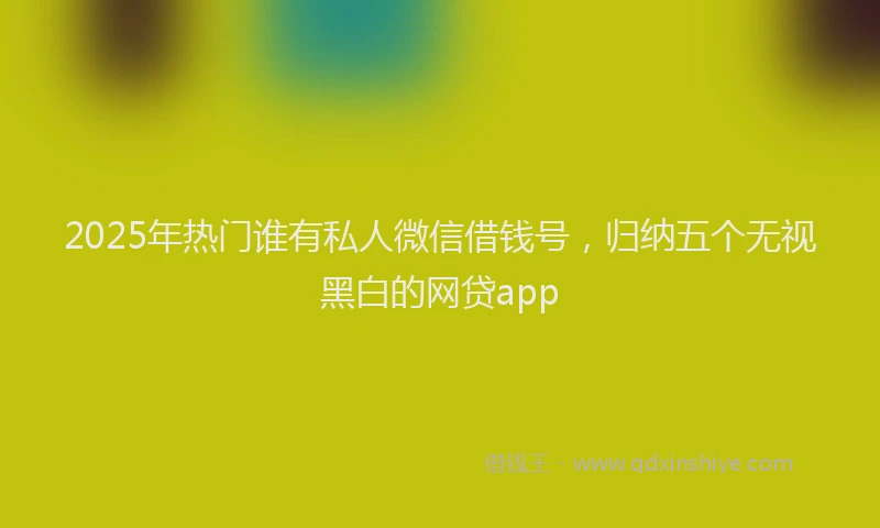 2025年热门谁有私人微信借钱号，归纳五个无视黑白的网贷app