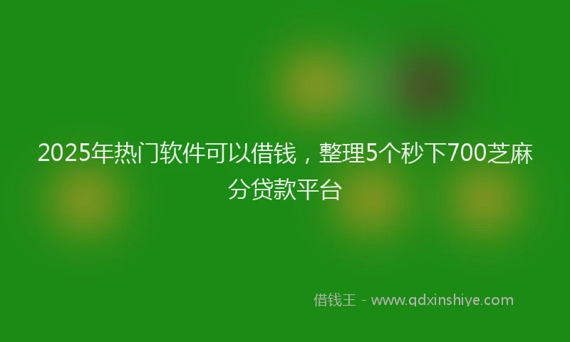 2025年热门软件可以借钱，整理5个秒下700芝麻分贷款平台