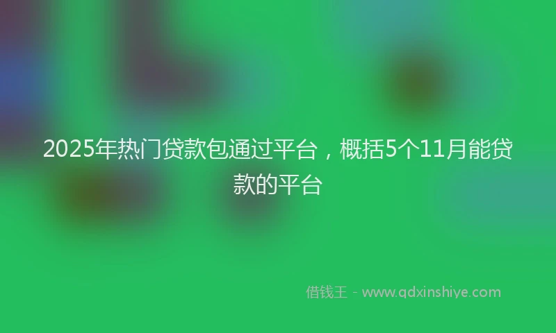 2025年热门贷款包通过平台，概括5个11月能贷款的平台