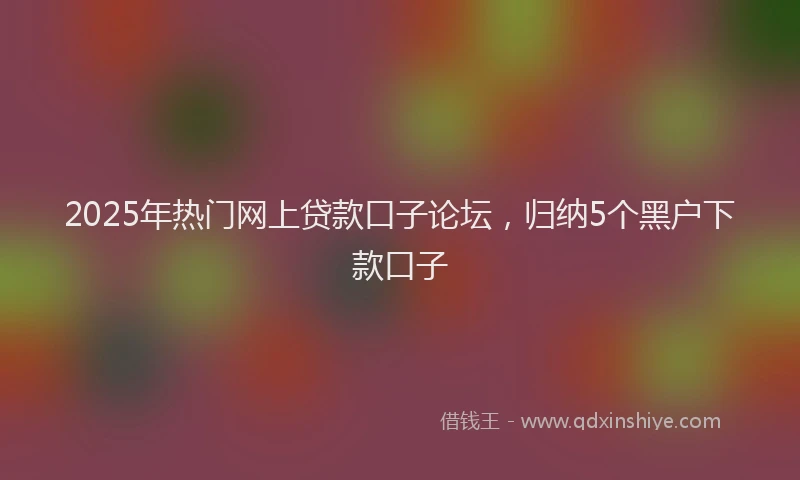 2025年热门网上贷款口子论坛，归纳5个黑户下款口子