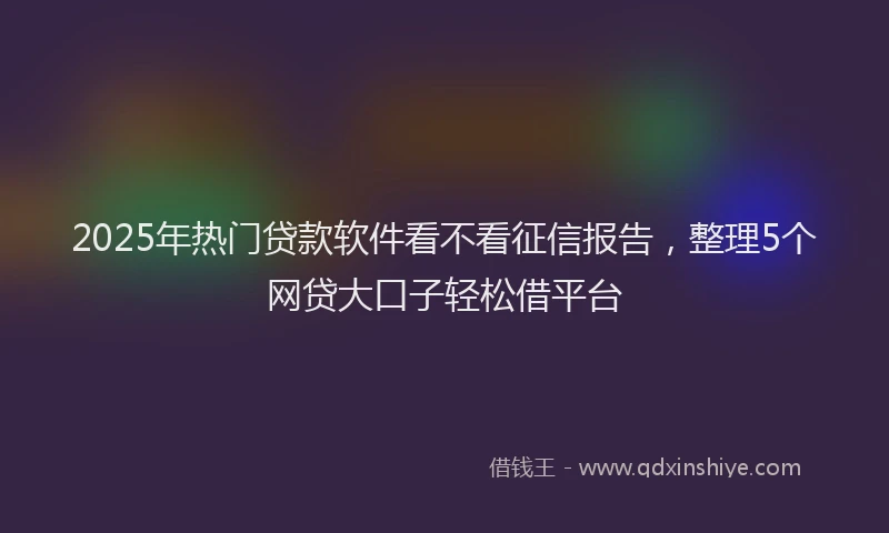2025年热门贷款软件看不看征信报告，整理5个网贷大口子轻松借平台