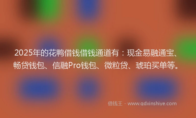 2025年的花鸭借钱借钱通道有：现金易融通宝、畅贷钱包、信融Pro钱包、微粒贷、琥珀买单等。
