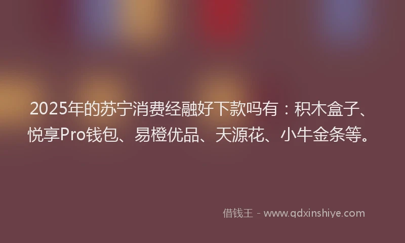 2025年的苏宁消费经融好下款吗有：积木盒子、悦享Pro钱包、易橙优品、天源花、小牛金条等。