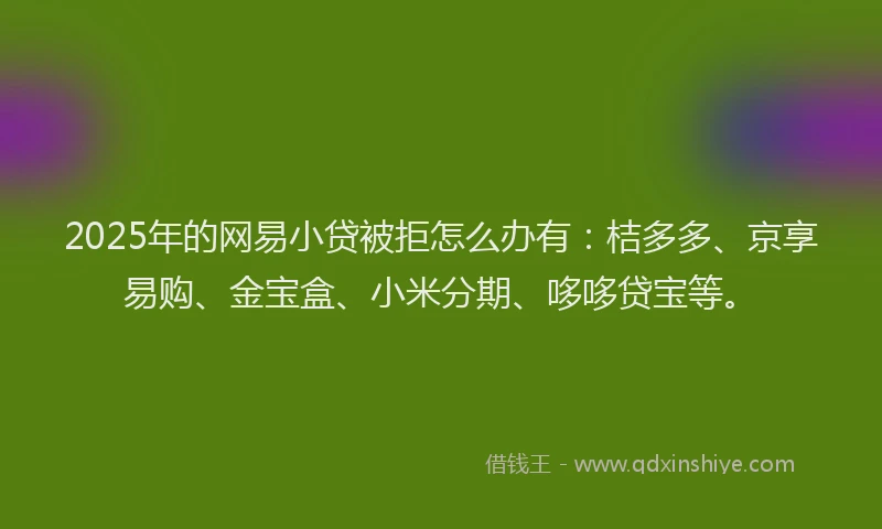 2025年的网易小贷被拒怎么办有：桔多多、京享易购、金宝盒、小米分期、哆哆贷宝等。