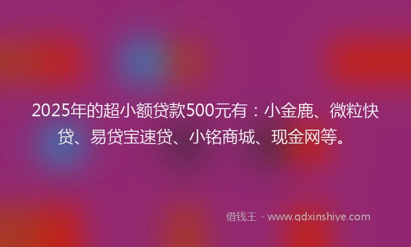 2025年的超小额贷款500元有：小金鹿、微粒快贷、易贷宝速贷、小铭商城、现金网等。