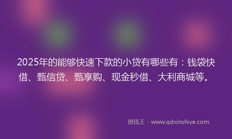 2025年的能够快速下款的小贷有哪些有：钱袋快借、甄信贷、甄享购、现金秒借、大利商城等。