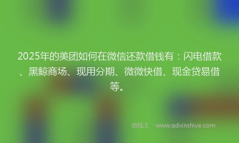 2025年的美团如何在微信还款借钱有：闪电借款、黑鲸商场、现用分期、微微快借、现金贷易借等。