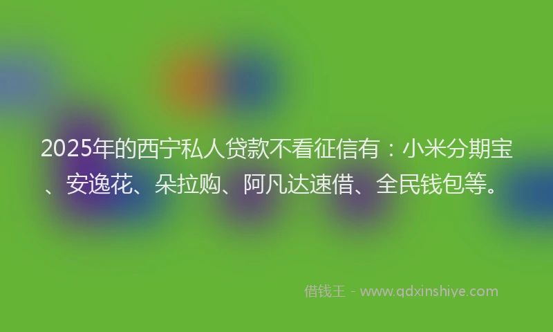 2025年的西宁私人贷款不看征信有：小米分期宝、安逸花、朵拉购、阿凡达速借、全民钱包等。