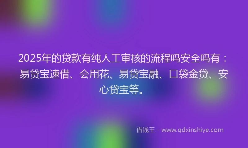 2025年的贷款有纯人工审核的流程吗安全吗有：易贷宝速借、会用花、易贷宝融、口袋金贷、安心贷宝等。