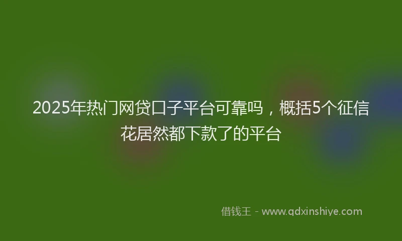 2025年热门网贷口子平台可靠吗，概括5个征信花居然都下款了的平台