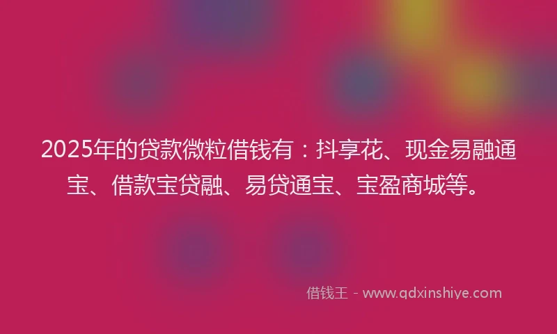 2025年的贷款微粒借钱有：抖享花、现金易融通宝、借款宝贷融、易贷通宝、宝盈商城等。