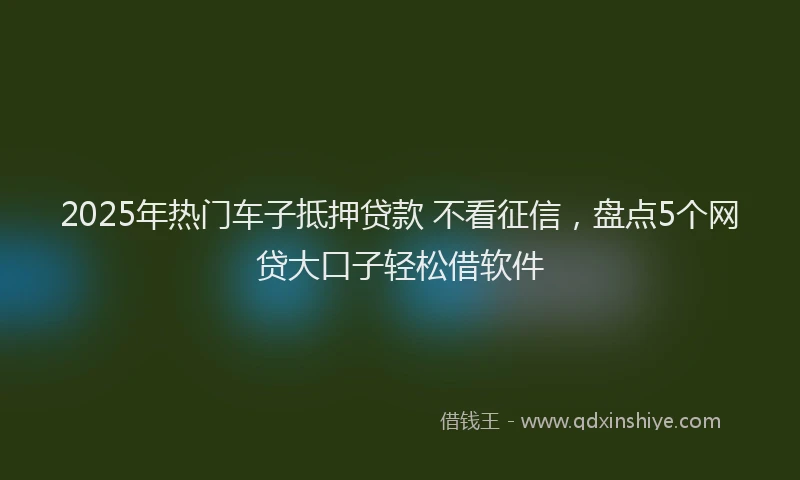 2025年热门车子抵押贷款 不看征信，盘点5个网贷大口子轻松借软件