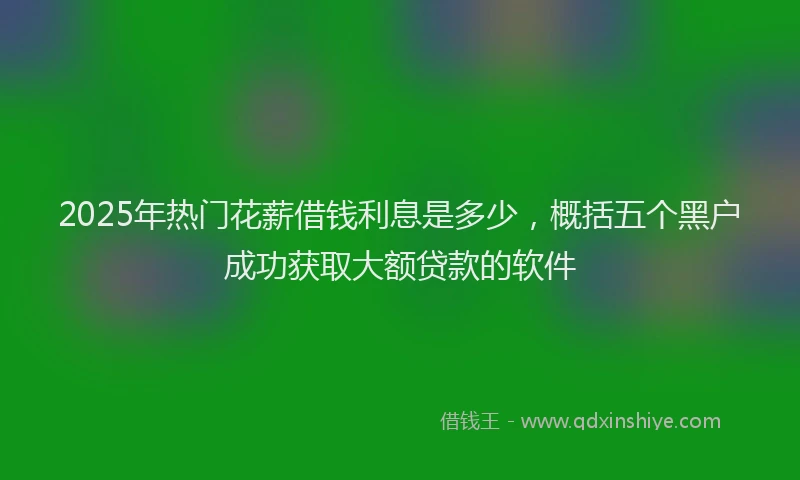 2025年热门花薪借钱利息是多少，概括五个黑户成功获取大额贷款的软件