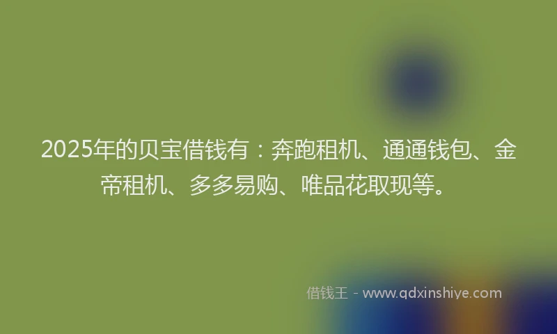 2025年的贝宝借钱有：奔跑租机、通通钱包、金帝租机、多多易购、唯品花取现等。