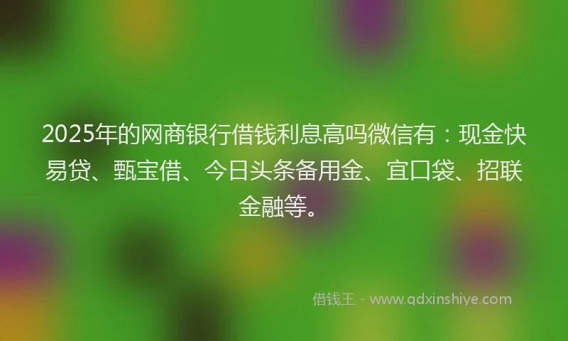 2025年的网商银行借钱利息高吗微信有：现金快易贷、甄宝借、今日头条备用金、宜口袋、招联金融等。
