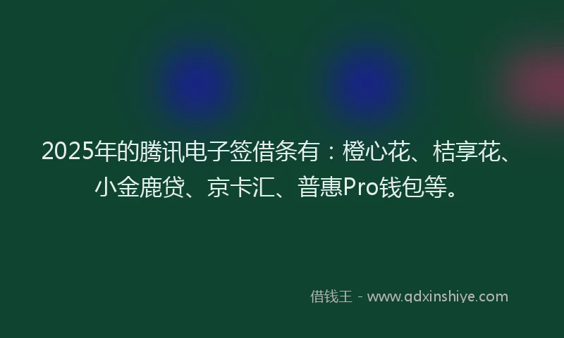 2025年的腾讯电子签借条有：橙心花、桔享花、小金鹿贷、京卡汇、普惠Pro钱包等。