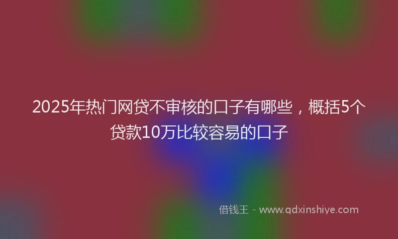 2025年热门网贷不审核的口子有哪些，概括5个贷款10万比较容易的口子