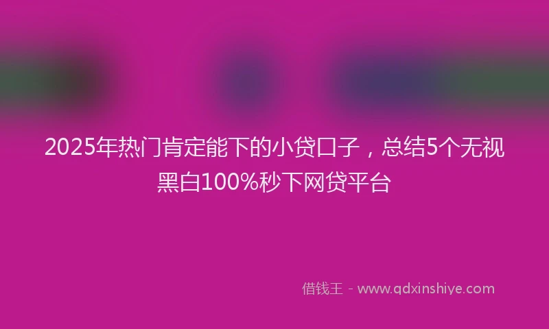 2025年热门肯定能下的小贷口子，总结5个无视黑白100%秒下网贷平台