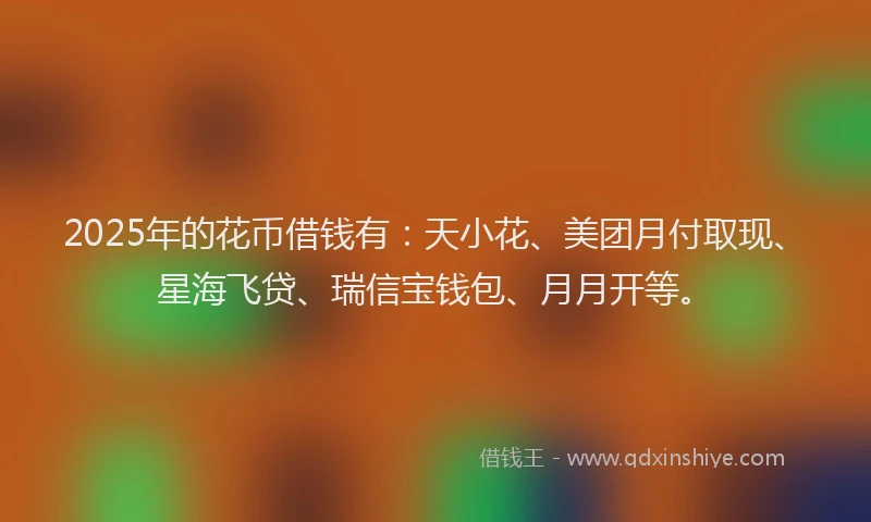 2025年的花币借钱有：天小花、美团月付取现、星海飞贷、瑞信宝钱包、月月开等。