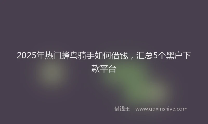 2025年热门蜂鸟骑手如何借钱，汇总5个黑户下款平台