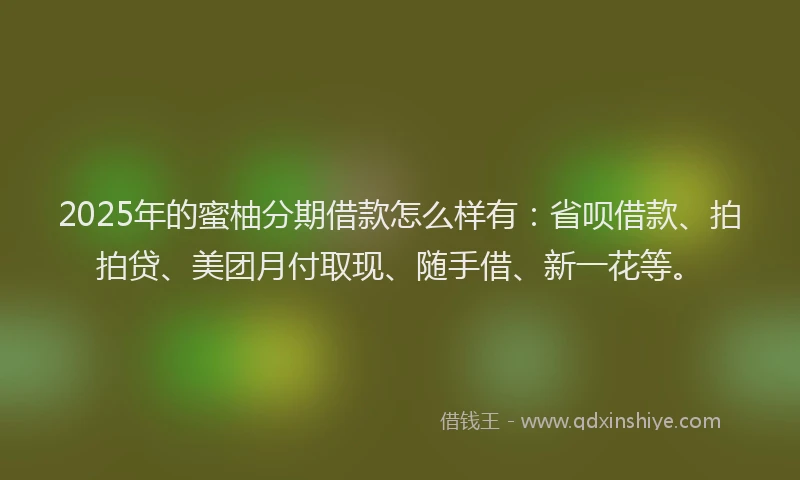 2025年的蜜柚分期借款怎么样有：省呗借款、拍拍贷、美团月付取现、随手借、新一花等。
