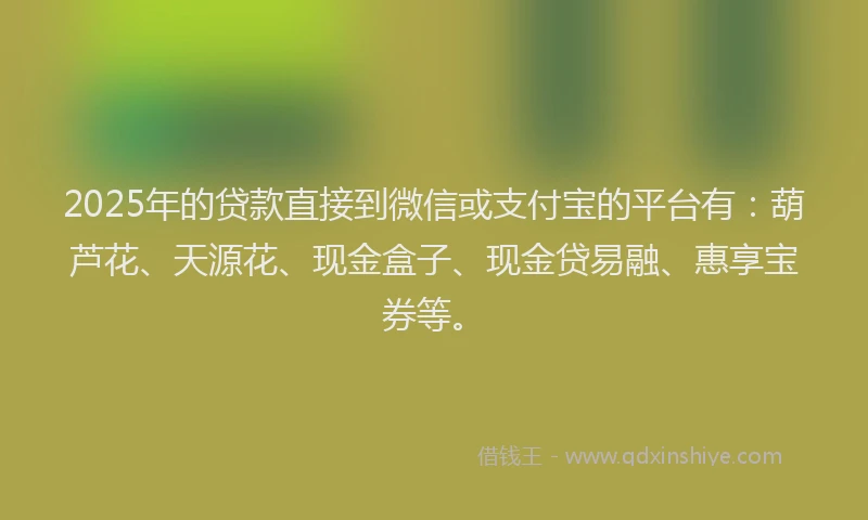 2025年的贷款直接到微信或支付宝的平台有：葫芦花、天源花、现金盒子、现金贷易融、惠享宝券等。