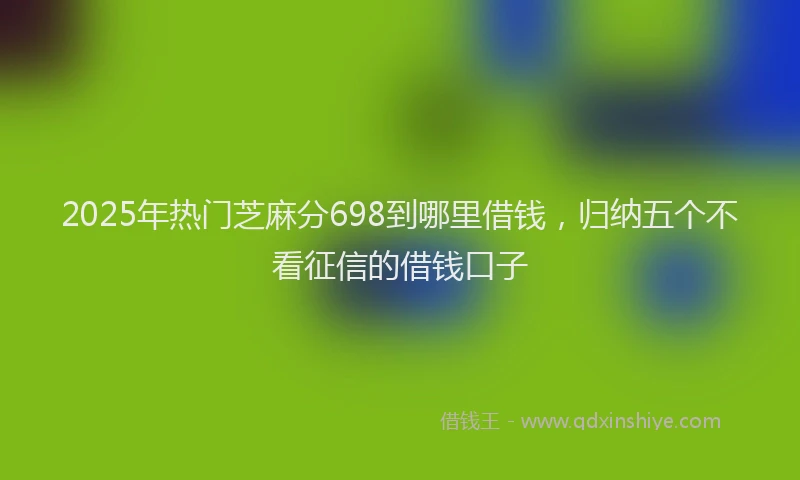 2025年热门芝麻分698到哪里借钱，归纳五个不看征信的借钱口子