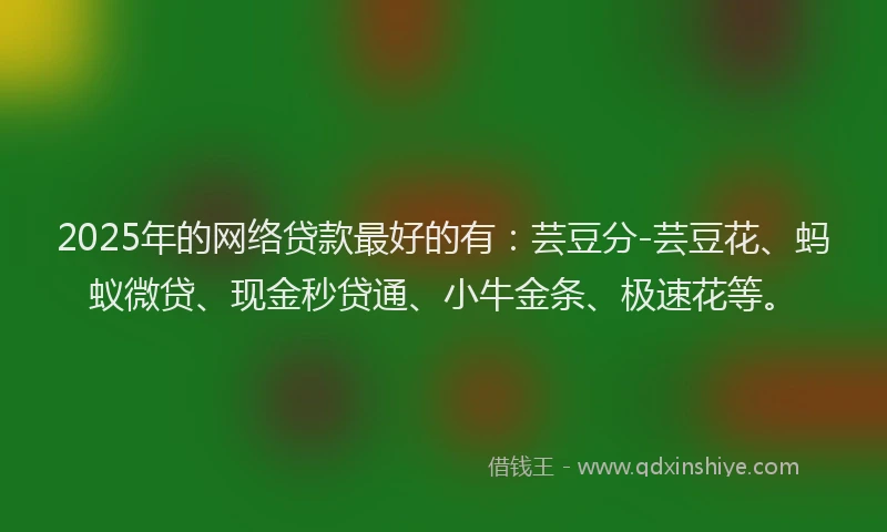 2025年的网络贷款最好的有：芸豆分-芸豆花、蚂蚁微贷、现金秒贷通、小牛金条、极速花等。