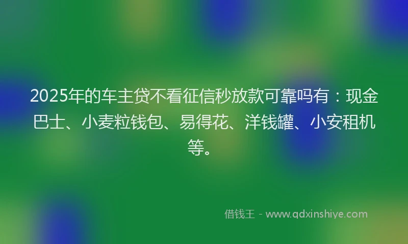 2025年的车主贷不看征信秒放款可靠吗有:现金巴士、小麦粒钱包、易得花、洋钱罐、小安租机等。