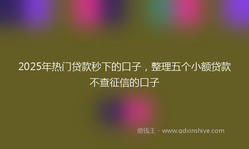 2025年热门贷款秒下的口子，整理五个小额贷款不查征信的口子